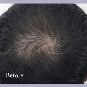 Quick Hair Cushion Quick Hair Tint Brush hair cover powder hairline cover hair powder Hairline Powder