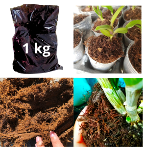 media tanam anggrek mos hitam akar kadaka siap paki 1 kg