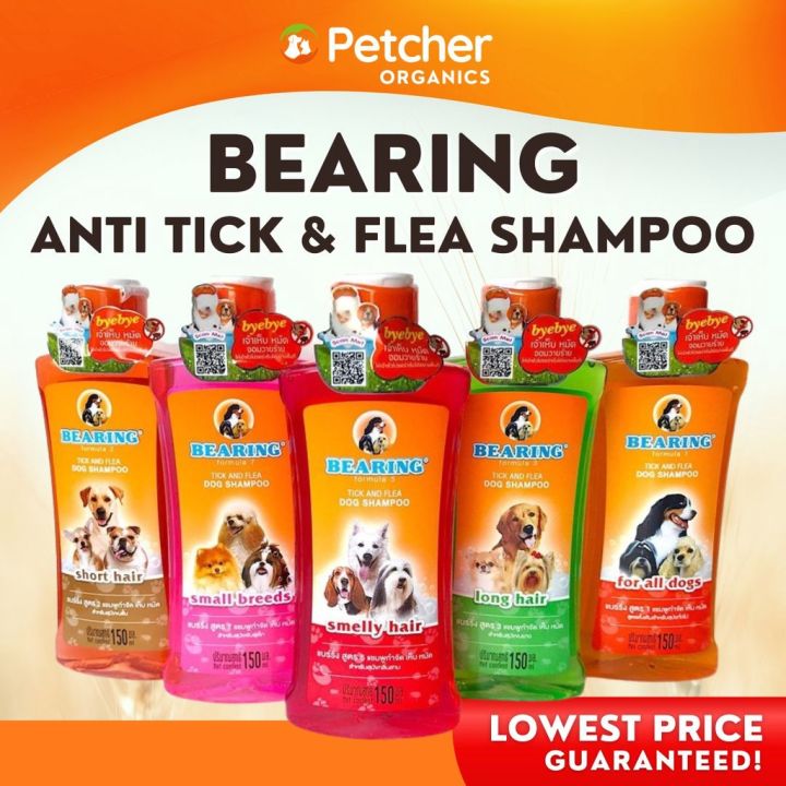 Best dog shampoo outlet for long lasting scent