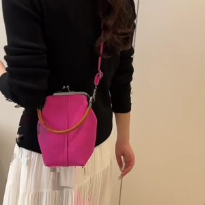 Women Shoulder Bag Kiss Lock Crossbody Bag Commuting Bag Fashion Handbag Stylish Top Handle Bag Messenger Bag Phone Bag