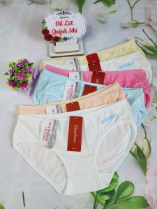 Combo 5 Và 10 Quần Lót Nữ Cotton Chất Vải Co Giãn Thoáng Mát Kểu Dáng Dễ Thương Size :45 - 58 Kg [3264]  - Đồ Lót Quỳnh Nhi