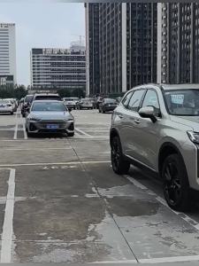 For GWM Haval H6 4th Gen 2025 2026 Car Rear Wheel Mudguard Mud Fender Protector Cover Exterior Decoration Styling Accessories