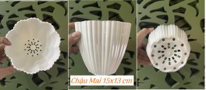 Chậu Mai Trắng Nhựa Cứng Trồng Hoa Xương Rồng 15X13 Cm