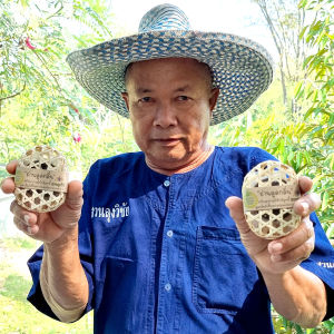 ถ่านดูดกลิ่นในชะลอม ช่วยดับกลิ่นอับปรับอากาศบริสุทธิ์ ฟอกอากาศ เกรดพรีเมี่ยม ดูดกลิ่นในตู้เย็น ในรถยนต์ ในตู้เสื้อผ้า