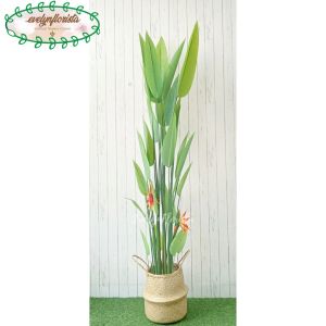 Pohon Hias Daun Pisangan Heliconia Bunga Paradise T210 Latex Pot Dasar Hitam Cover Anyaman Purun Belly Hiasan Ruang Tamu