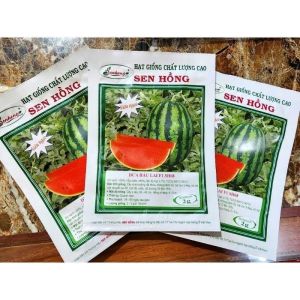 HẠT GIỐNG DƯA HẤU SH68 SEN HỒNG
