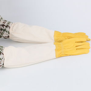 Lebah Bersengat - Lebah Tidak Bersengat Sarung Tangan Budidaya Ternak