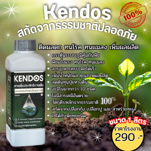 Kendos ติดผลดก ทนโรค ทนแมลง เพิ่มผลผลิต ผลิตจากสกัดธรรมชาติ 100 %