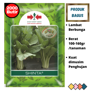 Bibit Sawi Hijau SHINTA 2000 Butir Benih CAISIM SHINTA 2000 biji CAP PANAH MERAH