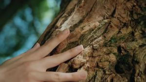 6% Caffeine + 1% Retinol Eye Cream for Dark Circles Puffy Eyes & Bags    360 °   Massage Ball for Fine Lines    Collagen & Centella    Anti-Aging Under Eye Care for Sensitive Skin Men & Women(0.7fl.oz)