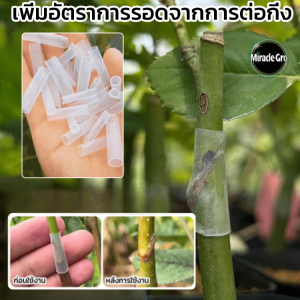 【ผู้ช่วยที่ดีในการปลูกต้นไม้สำหรับมือใหม่】ท่อเสียบยอดแบบใหม่ ป้องกันการรั่วซึม อ่อนนุ่ม การย้ายปลูกทําได้รวดเร็วและสะดวก