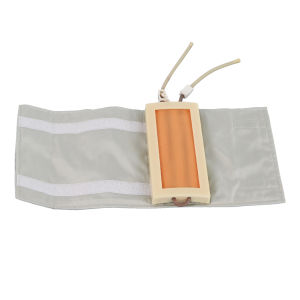 โมเดล Venipunit แบบสายรัดแขนชุดฝึกฉีดยาที่รองฝึกซ้อมฉีดยาสำหรับนักศึกษาพยาบาลแพทย์