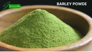 BARLEY POWDER ORGANIC FROM NEW ZEALAND - BULK