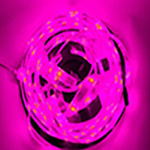 DC 12 V Volt Strip Led Light Tape 2835 12V DC 60LED/M RGB Led Strip Tape Lamp Diode Flexible TV Backlight 5M