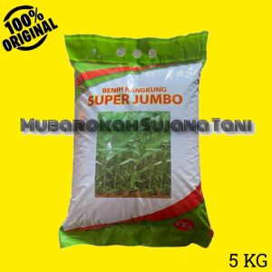 BENIH BIBIT KANGKUNG UNGGUL ISI 5 KG SUPER JUMBO GARUDA SEED