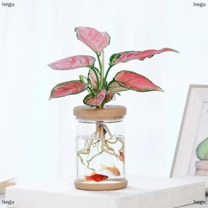 [COD] hegu หม้อดอกไม้โปร่งใส hydroponic ดูดซับน้ำอัตโนมัติหม้อดอกไม้พลาสติก