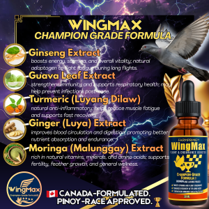 [5 BOTTLE] WingMax Champion Elite Pigeon Power Formula