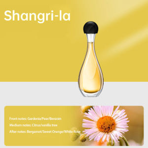 Home Essential Oil Wall Mount Room Air Freshener Spray Rechargeable Aroma Diffuser Toilet Fragrance Hotel Humidifier Perfume Aromatherapy Oil Smell