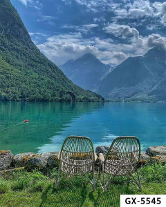 Live Streaming Background Wall 3d 3D Wallpaper Female Streamer Background Cloth Scene Setup Shooting High-End Background Cloth Net