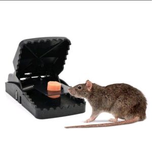 Alat Perangkap Tikus Besar Pembasmi Penjepit Jebakan Canggih Super Kuat - Jebakan Tikus - zansenShop