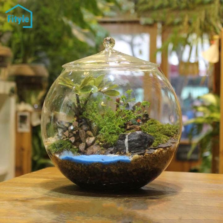 Fityle Glass Plant Container Centerpiece Glass Terrarium for tea Sugar -  Lazada | Lazada PH
