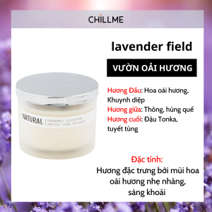 Nến thơm phòng 3 bấc Chillme sáp đậu nành candles decor trang trí quà tặng thư giãn