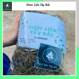 Giảo Cổ Lam 5 Lá 1kg Sơn La hàng loại 1 Dược Liệu Tây Bắc
