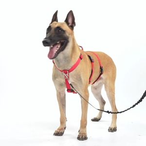 AP AIMAYAPET H Shape Cat Traction Rope Gradient Color Outdoor Anti Slip Escape Proof Leash Tali Leher