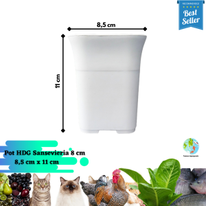(6 pc) Pot Bunga Sense HDG Sansevieria Ukuran 8