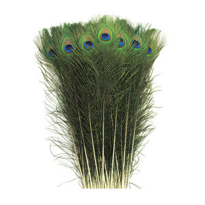 Peacock Vase with Big Eyes Craft Decoration Flower Arrangement Feather Peacock Vase