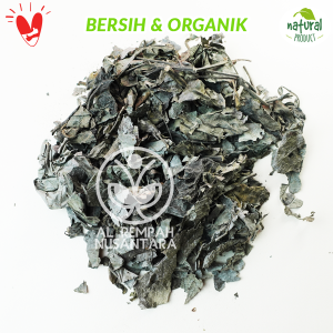 Daun Kejibeling / Pecah Beling Kering 1kg Asli Hutan