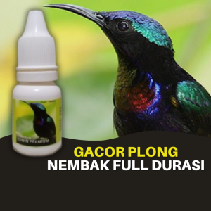 Vitamin Burung Konin Kolibri Ninja Premium Gacor Plong Nembak Full Durasi