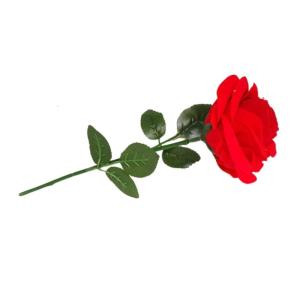 Tinh tế hoa hồng thanh lịch Nhẫn hộp với mềm đổ xô lót Vật liệu Phụ kiện cho dịp đặc biệt tổ chức