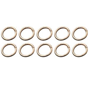10 Pieces 20/25/28/33mm Spring O Ring Round Carabiner Snap Hook Spring Keyring Buckle for Purse DIY Craft Making