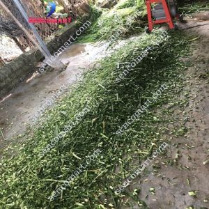 Khung Máy Băm Cỏ VoiBăm Rơm Có Lô Cuốn Tự Động Phun Xa