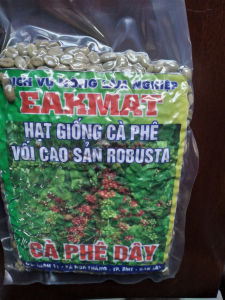 100  GRAM HẠT GIỐNG CÀ PHÊ VỐI CAO SẢN ROBUSTA [Giống cà phê dây Thuận An] (HẠT ĐẸP TUYỂN CHỌN BAO NẢY MẦM ĐÓNG GÓI KỸ HÚT CHÂN KHÔNG NHƯ HÌNH  Ạ)