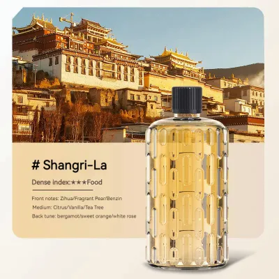 SG Stock Rechargeable Aroma Diffuser Air freshener Essential oil diffuser Essential Oil Diffuser Aroma Spray Dispenser Aroma Diffuser Air Purifier