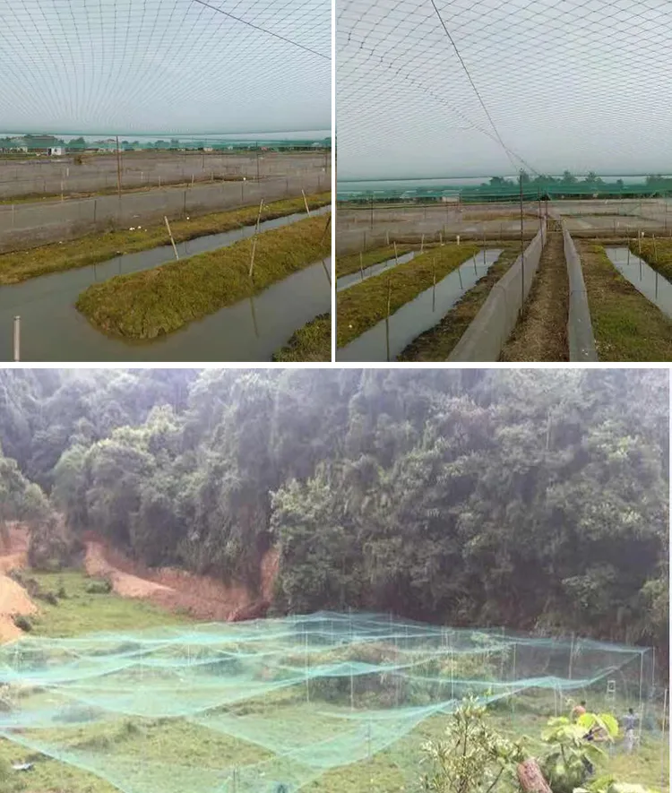 Construction Net Range Net Poultry Net Good Quality Garden Net