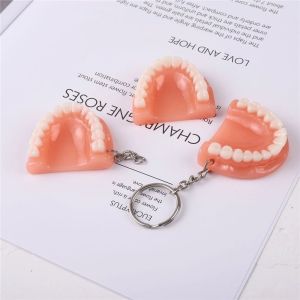 RD5BA7 Dental Accessories Dental Gift Resin Teeth Shape Upper Jaw Teeth Pendant Teeth Keyring Denture Key Chain Tooth Key Chain