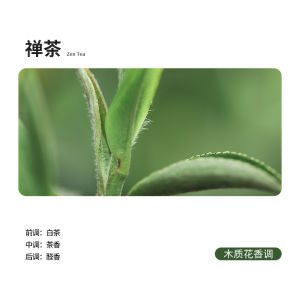 ดิฟฟิวเซอร์อโรมาอัตโนมัติแบบดิจิตอลสำหรับห้องนอน ห้องน้ำ โรงแรม เครื่องหอมน้ำมันหอมระเหยแบบเสียบปลั๊ก กลิ่นหอมยาวนาน 03