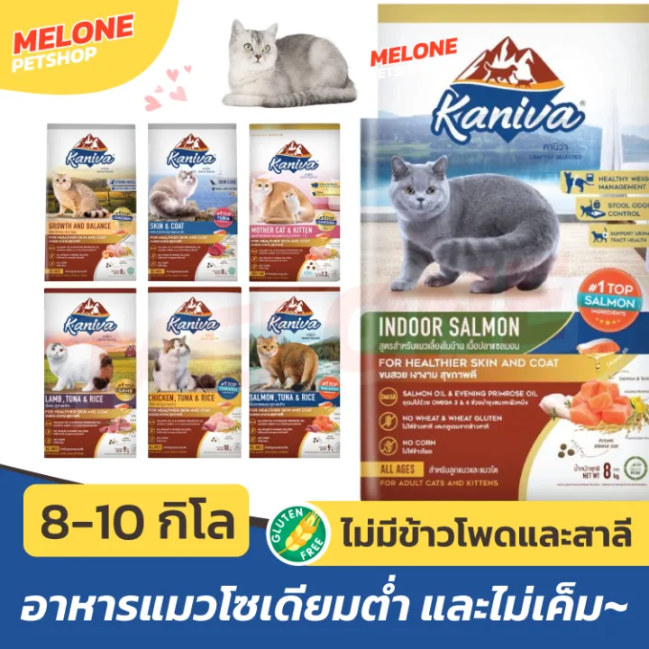 อาหารแมวแบบแห้ง [หมดอายุ 02/2025] Kaniva อาหารแมว คานิว่า ขนาด Indoor Skin Muscle ขนสวย 8kg แซลมอน 9kg ทูน่า 10kg ไก่ 10kg