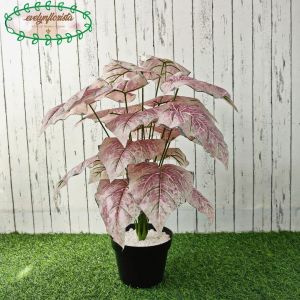 Pohon Artificial Daun Hias Calladium X18 Semilatex Pot Dasar Hitam Plastik Hiasan Rumah Aesthetic