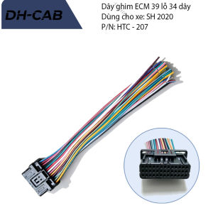 Dây ghim ECM dùng cho xe SH 2020 39p 34 dây