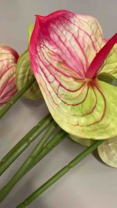 2pcs - ANTHURIUM FLOWERS! Real looking