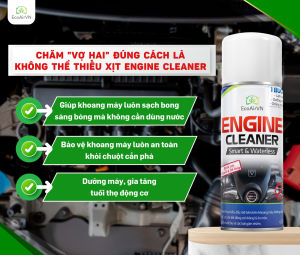 Vệ sinh chống chuột khoang máy