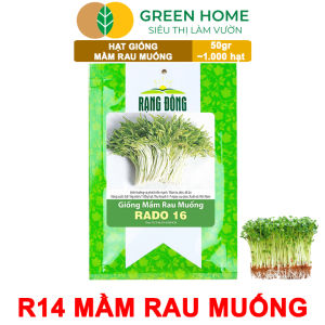 Hạt Giống Mầm Rau Muống Greenhome Gói 50g Dễ Trồng Quanh Năm Nảy Mầm Cao Thu Hoạch Nhanh Năng Suất Cao R14