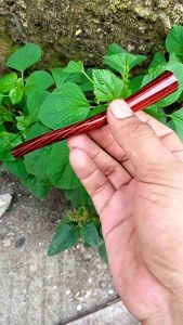 Pipa cangklong kayu gaharu agestin 11cm tidak wangi