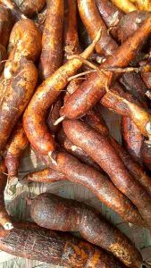 Singkong Sapi Kuru Segar Dadakan Isi Per 1 Kg Organik