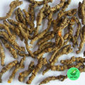 Hoàng liên khô [0.5kg] - DV081. 