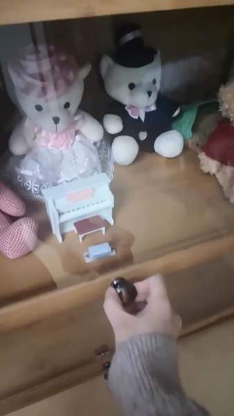 Buyer review video 6